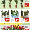 Antevisão Folheto LIDL Promoções de 5 a 11 abril d48.jpg